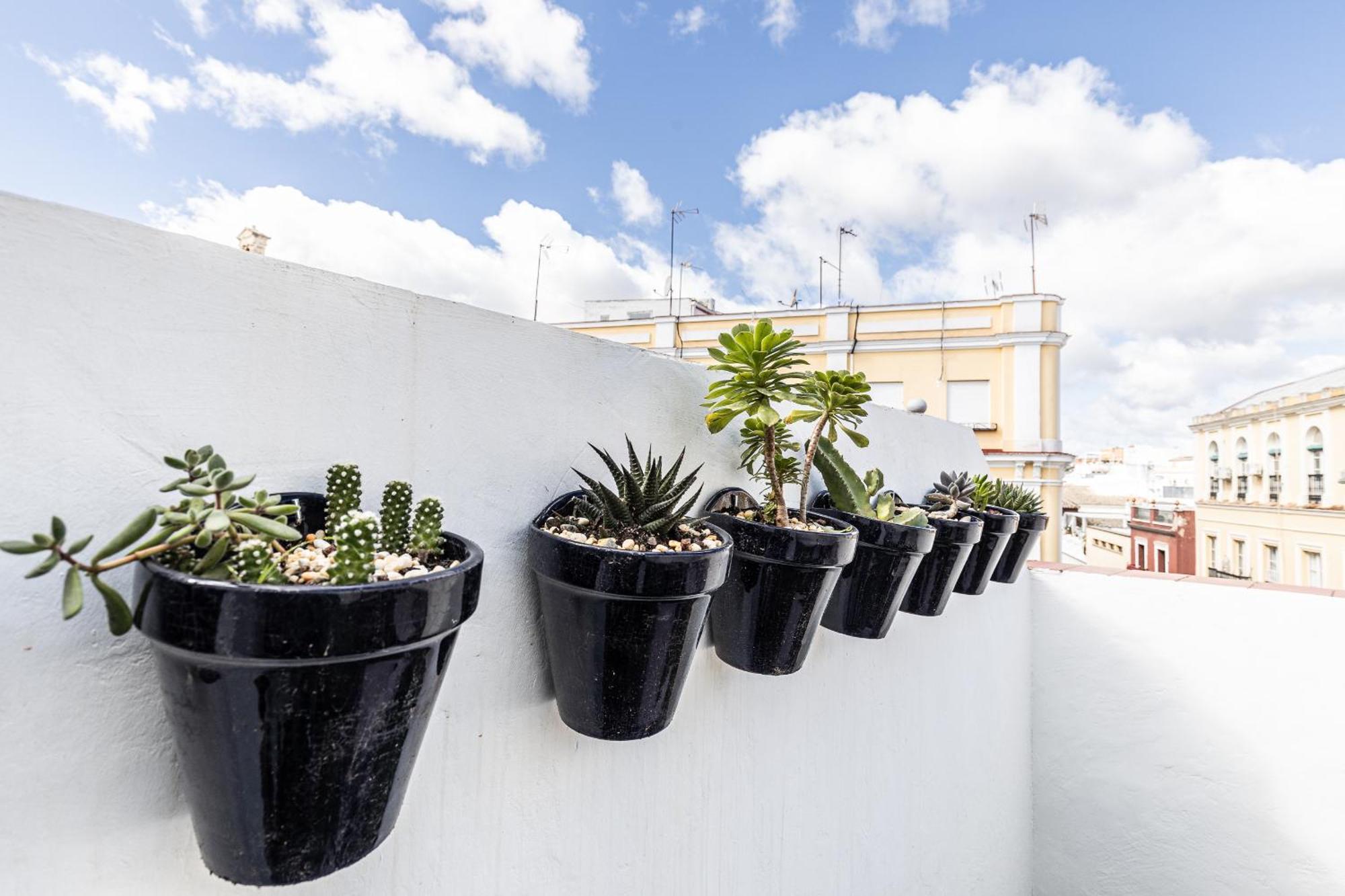 Apartament Bonito Duplex Con Terraza Calle Feria